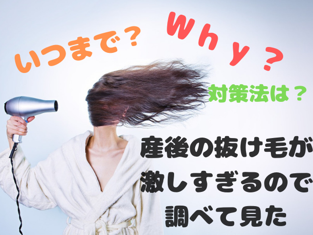 産後の抜け毛が激しすぎるので調べて見た いつまで続く 対処法は かりんとママブログ 元看護師新米ママの知りたかったことまとめ