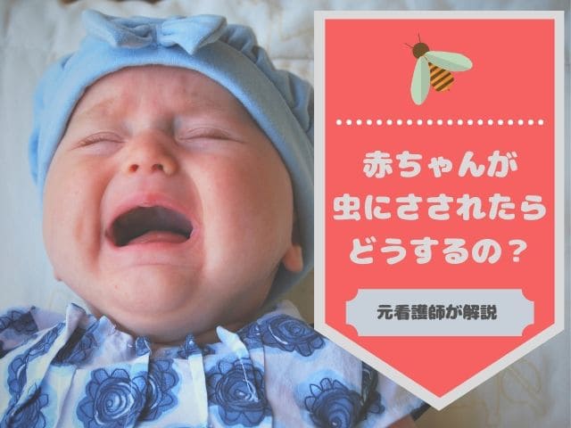赤ちゃんが虫にさされたら どうするの 元看護師が解説します かりんとママブログ 元看護師新米ママの知りたかったことまとめ