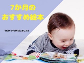 わが子で検証 8か月赤ちゃんおすすめ絵本 かりんとママブログ 元看護師新米ママの知りたかったことまとめ