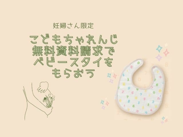 妊娠中しかもらえない こどもちゃれんじ無料資料請求でsou Souベビースタイをゲットしよう かりんとママブログ 元看護師新米ママの知りたかったことまとめ